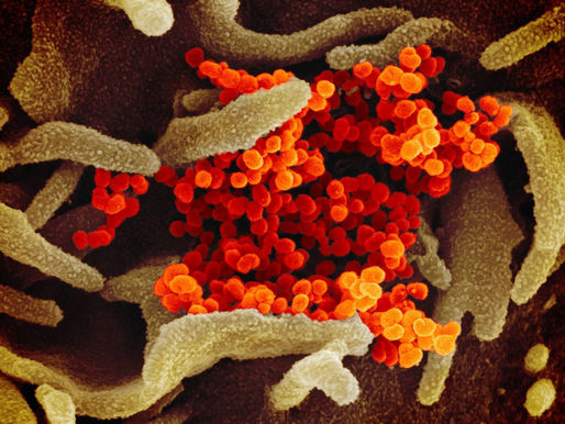 Período de incubación de la enfermedad en casos confirmados