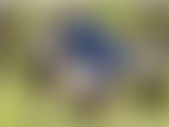 Actividad física en fin de semana con beneficio similar a la regular