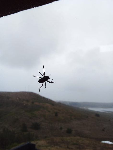 WhatsApp Image 2021-02-06 at 21.01.17.jp