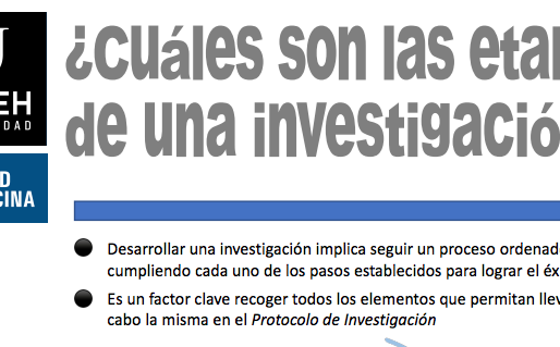 ¿Cuáles son las etapas de una investigación?