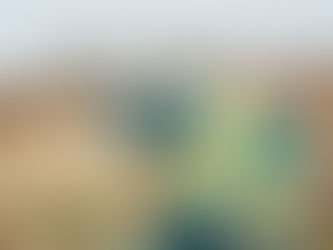 Engineer Your Future: Clear the FE and PE Civil Exams with Confidence.