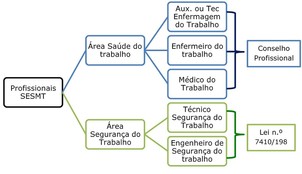 Profissionais Do Sesmt