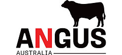 _0046_AA_Logo.jpg