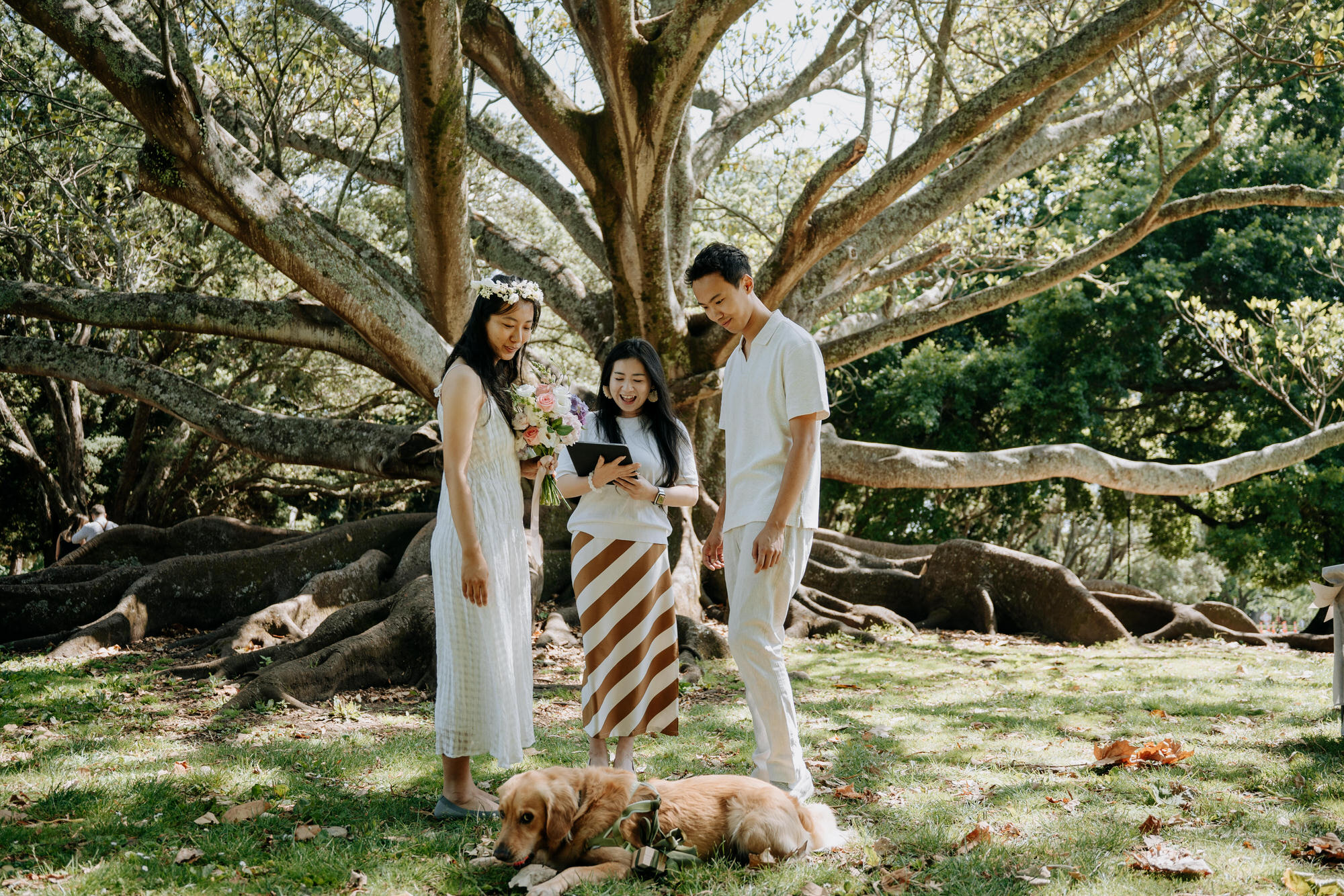Ian and Tia Cornwall Park wedding photography (6 of 38)