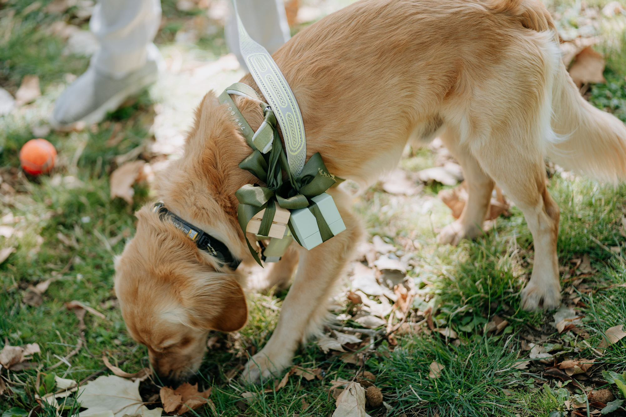Ian and Tia Cornwall Park wedding photography (7 of 38)