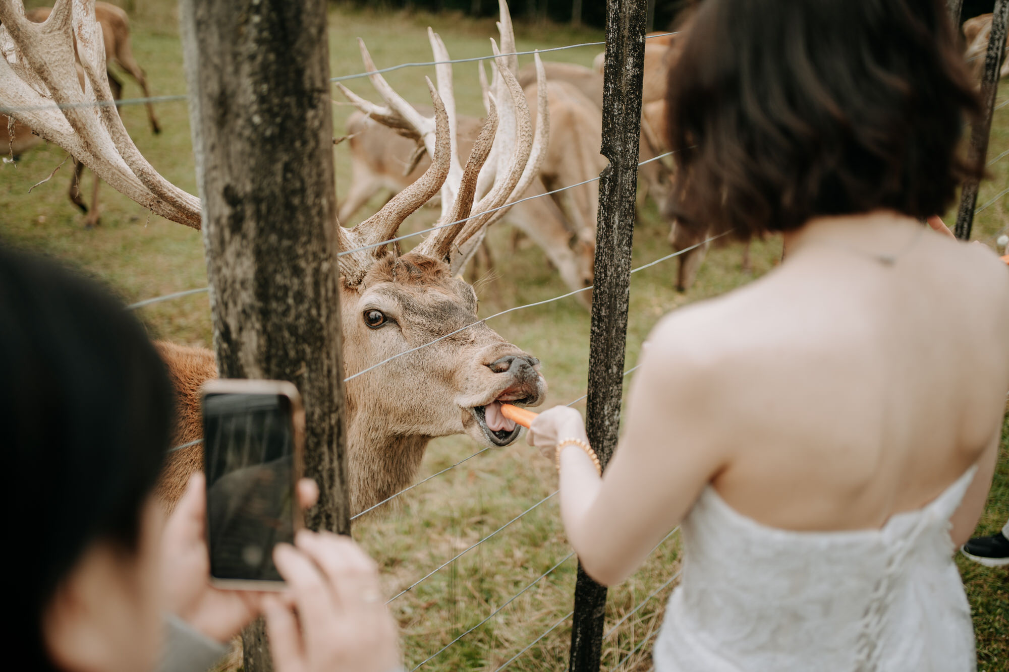 Ethan and Danna Deer Valley wedding photography (25 of 36)