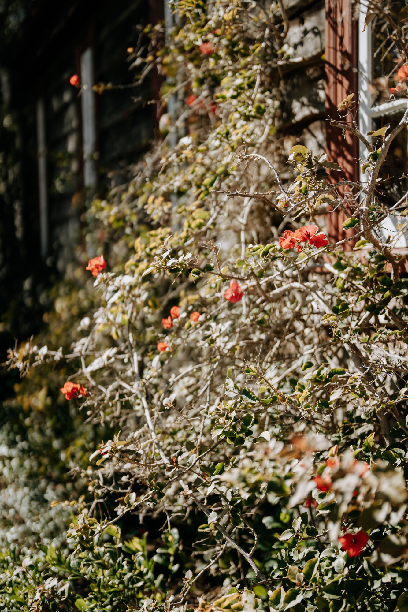 Hohin and Yeeteng Kumeu Valley Estate wedding photography (21 of 161)