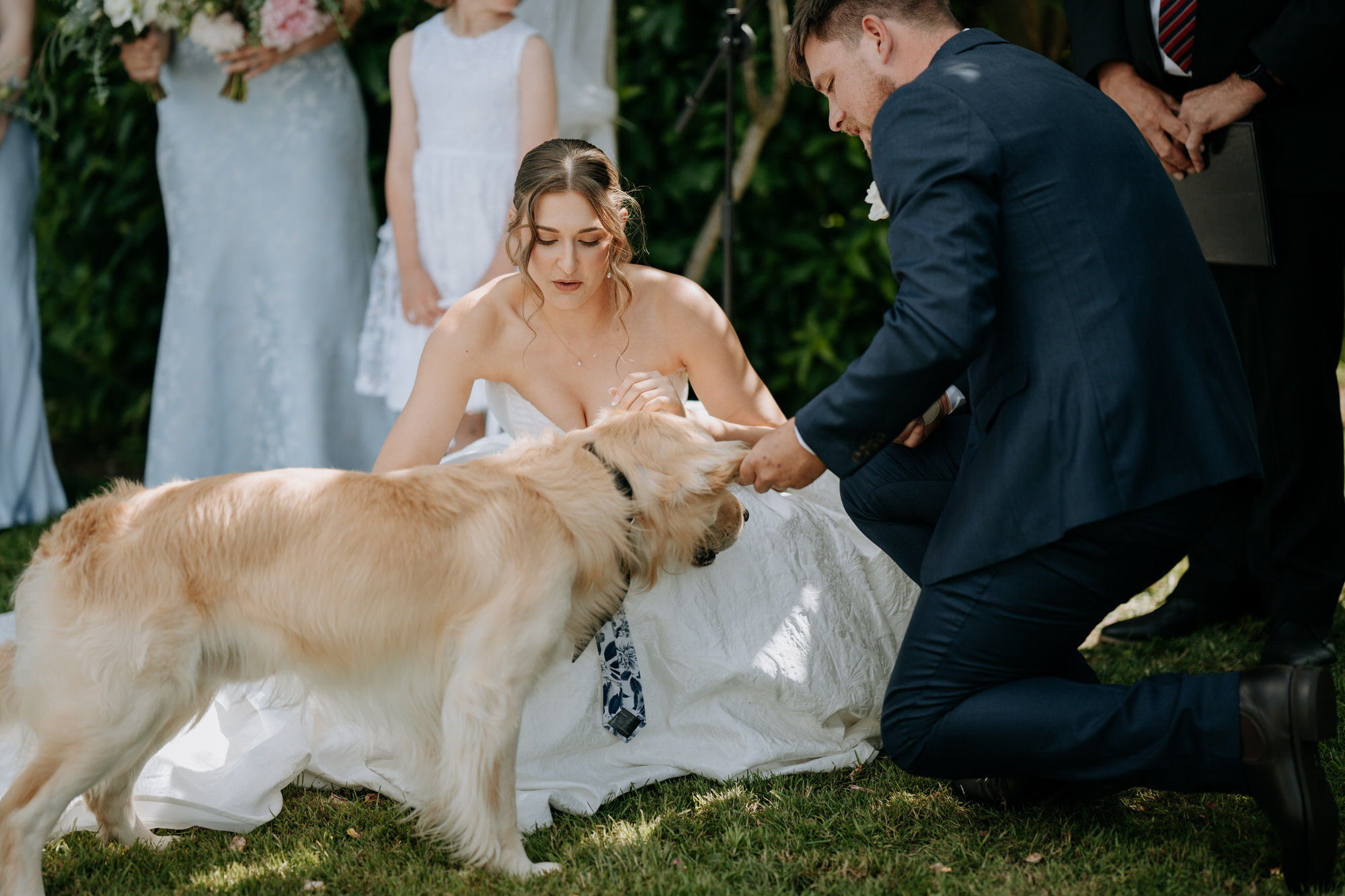Holly and Jordan Palmerston North wedding photography (34 of 111)