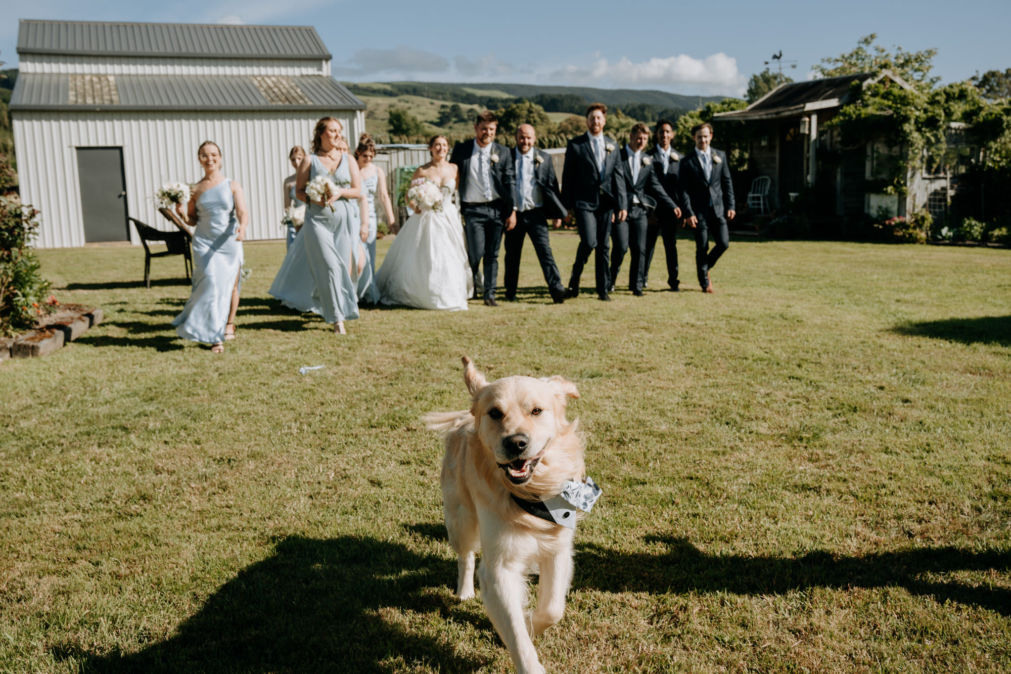 Holly and Jordan Palmerston North wedding photography (57 of 111)