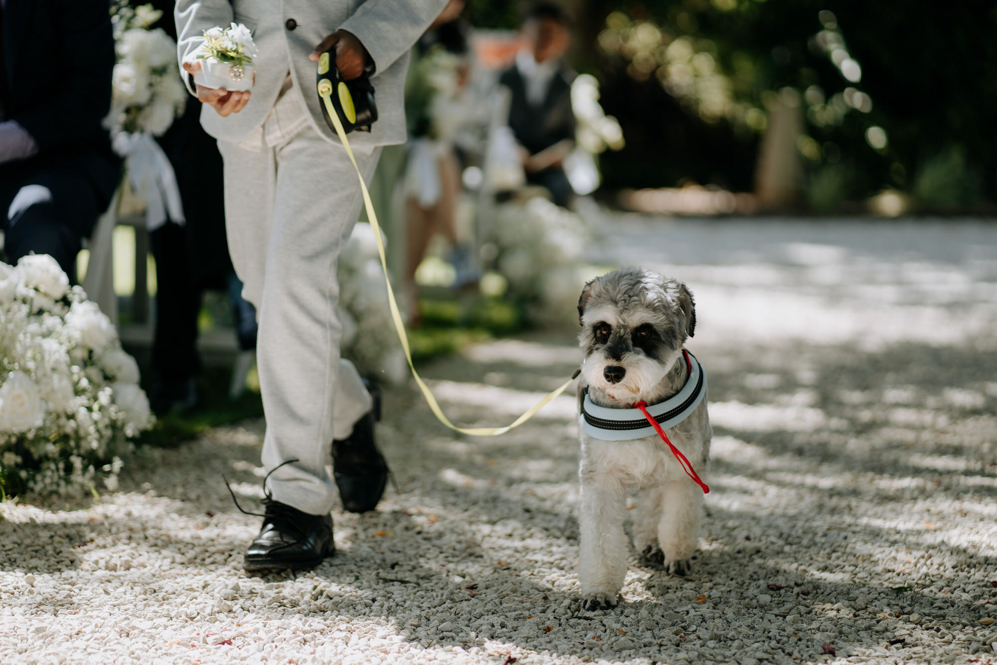 A candid moment from May and Azhar’s Markovina Estate wedding (35 of 113)