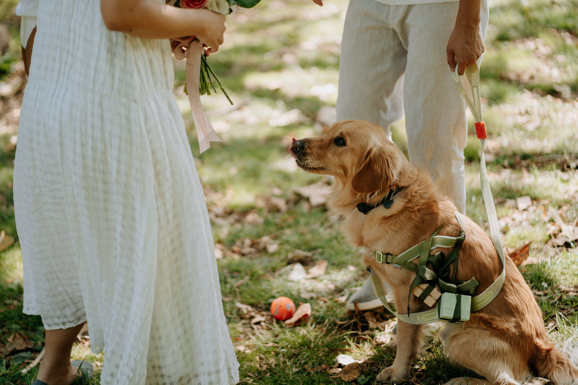 Ian and Tia Cornwall Park wedding photography (8 of 38)