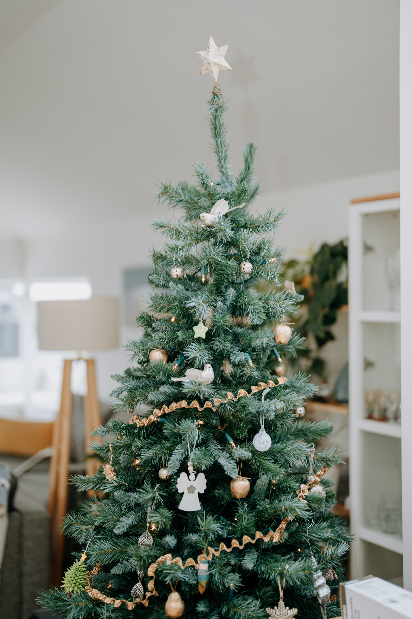 Emeli and Joseph Rothesay Bay wedding photography (7 of 50)