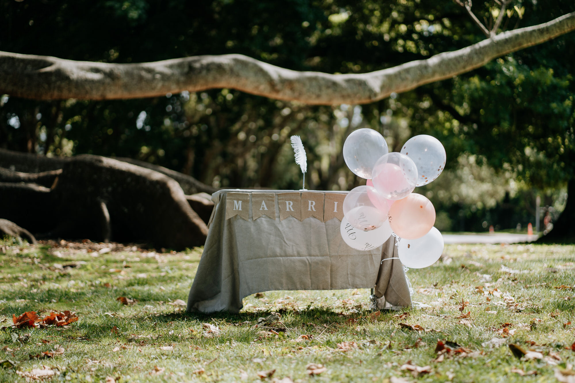 Ian and Tia Cornwall Park wedding photography (3 of 38)