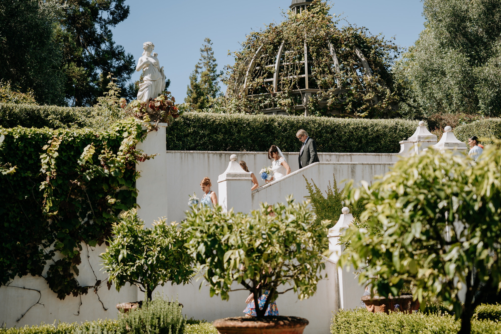 Clare and Conor Hamilton Gardens wedding photography (9 of 97)