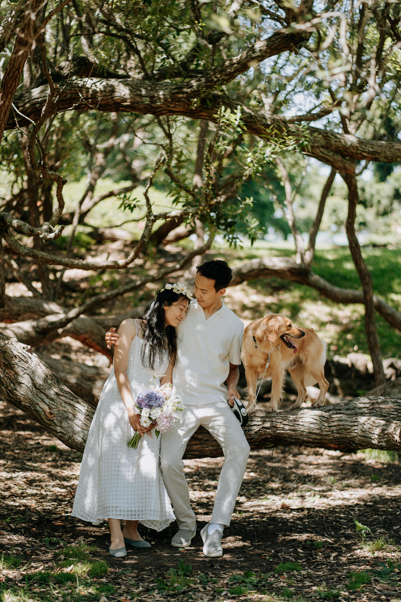Ian and Tia Cornwall Park wedding photography (37 of 38)