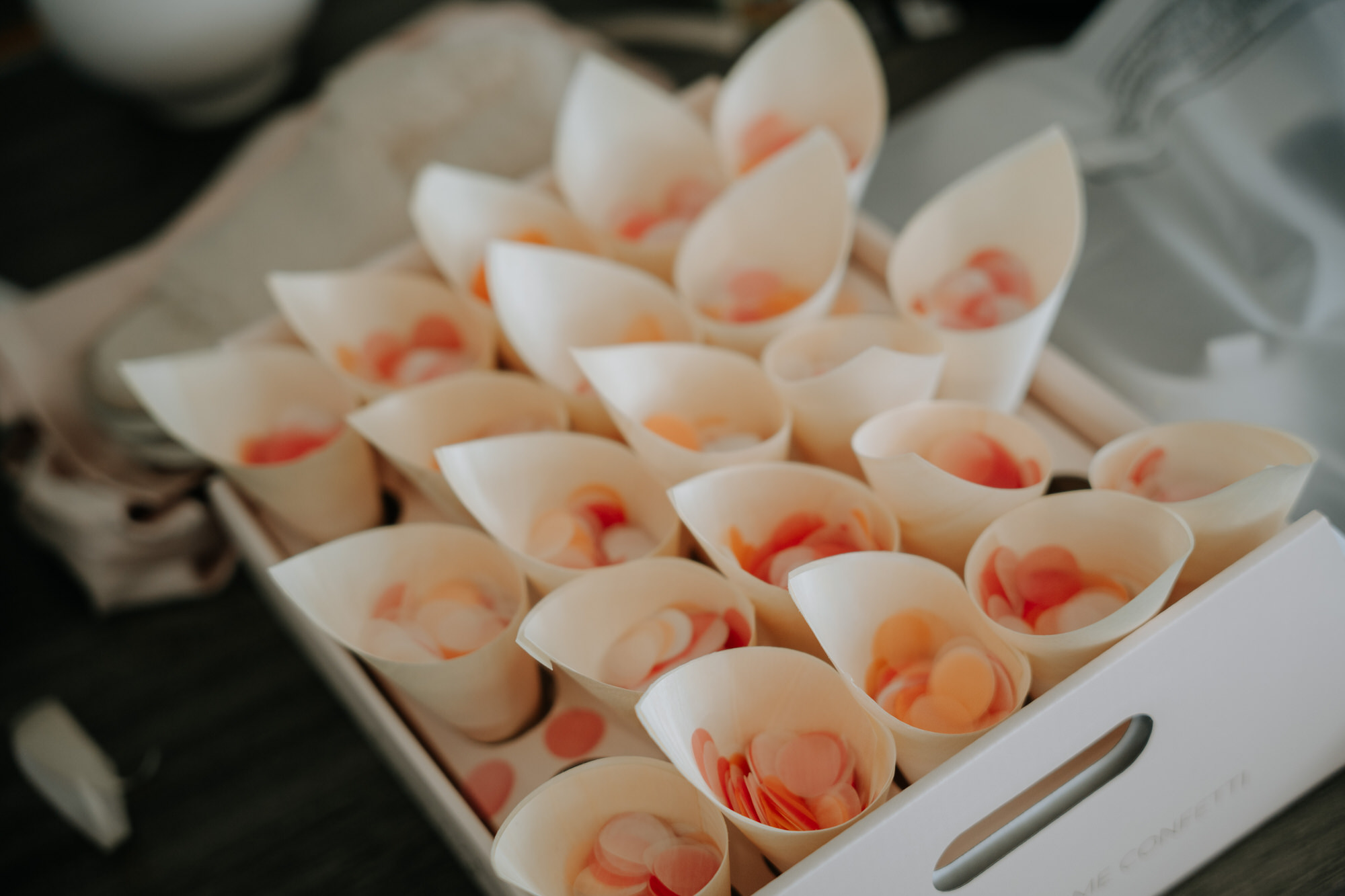 Gabby and Kale Windross House wedding photography (19 of 112)