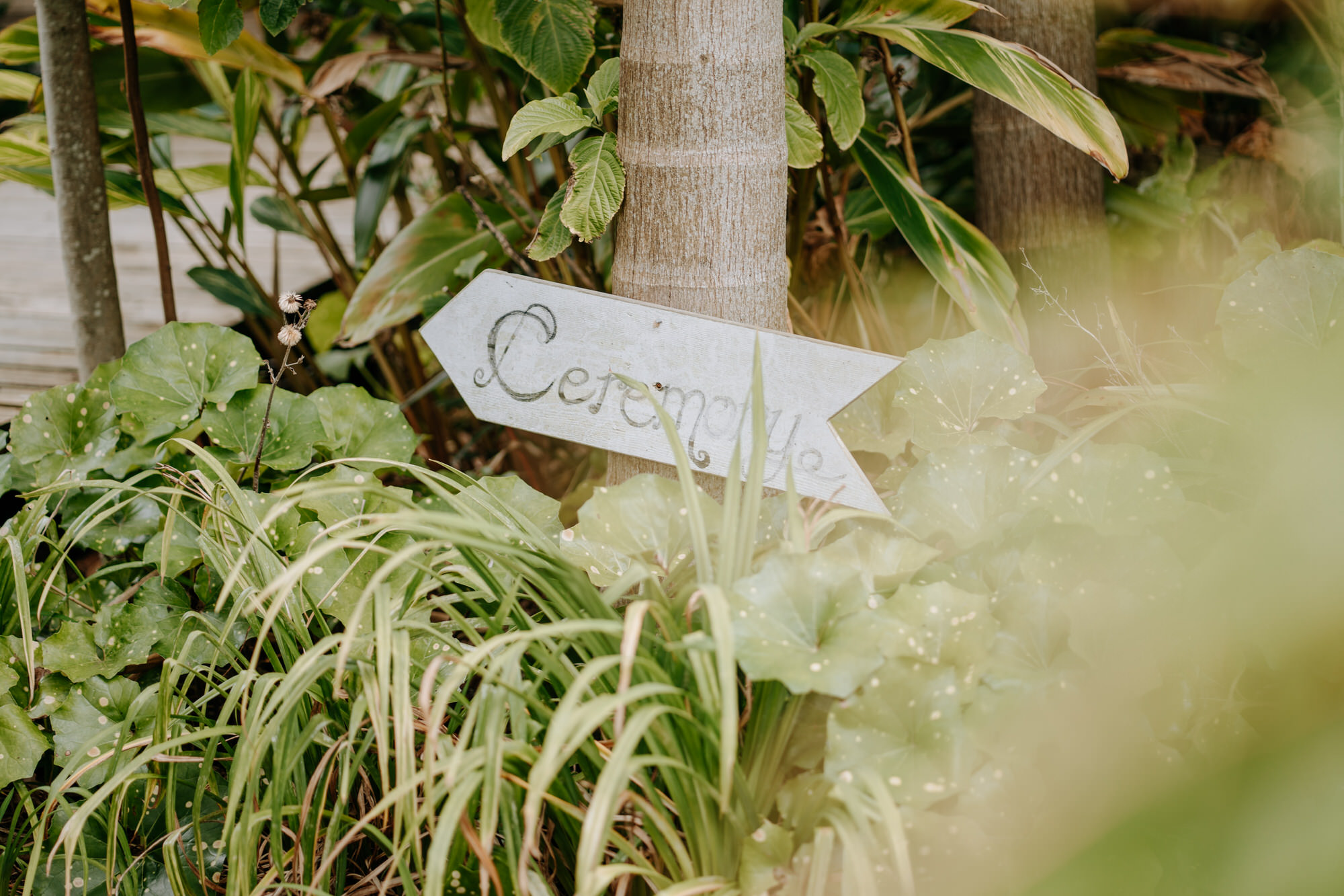 Lisa and Dean Dellrian Gardens wedding photography (8 of 96)