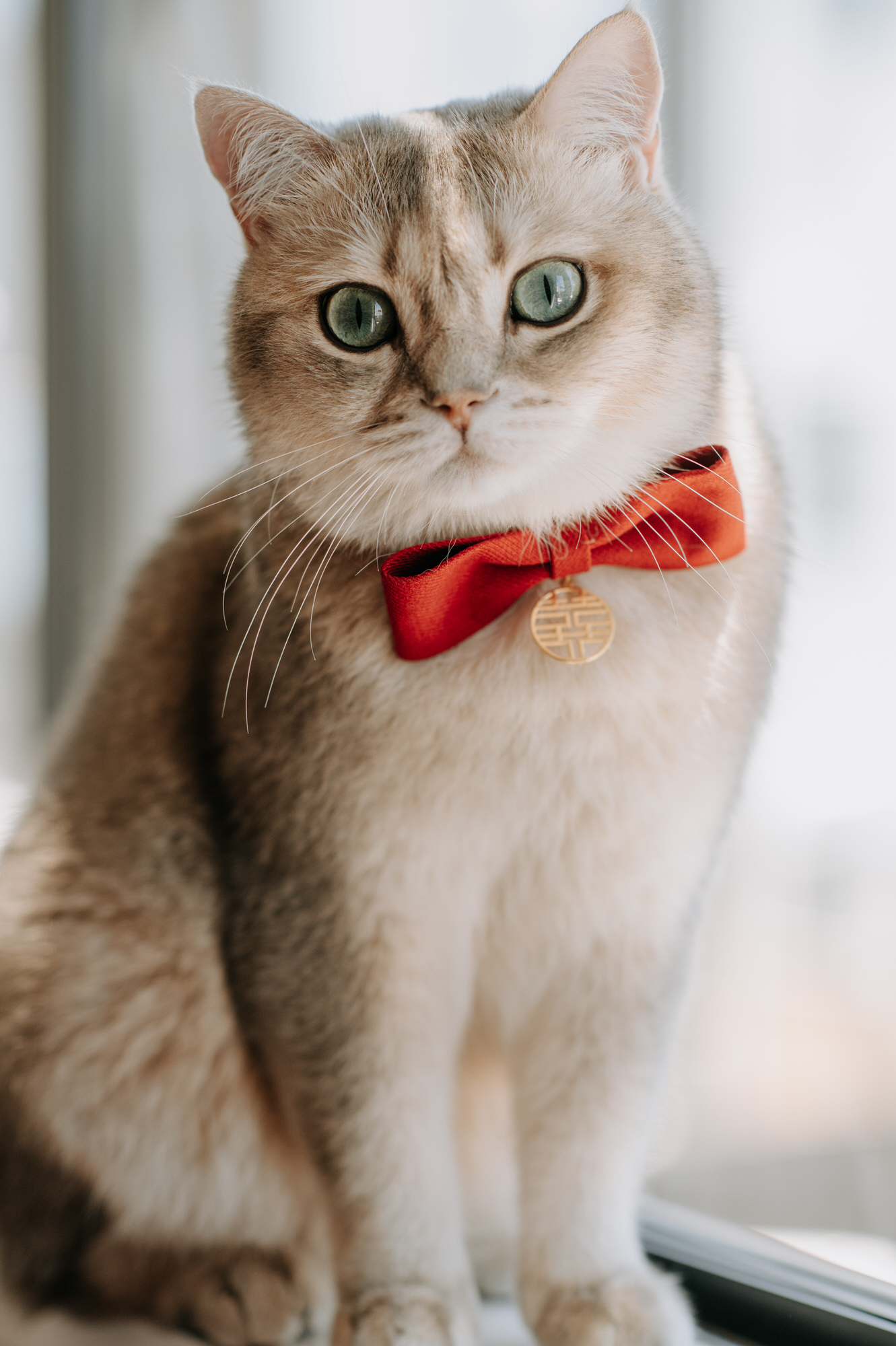 Esther and Justin Markovina Estate wedding photography (16 of 145)
