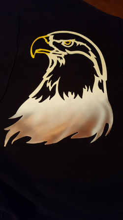 Eagle airbrushed