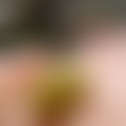 RISE AND BE RISEN…