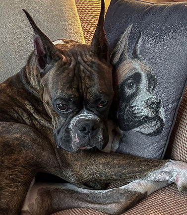 Java and pillow-2-22.jpeg