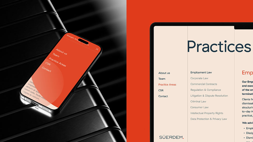 suerdem-behance-11.jpg