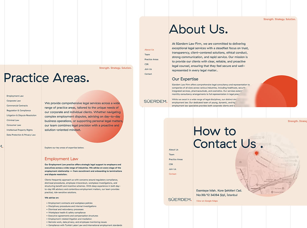 suerdem-behance-04.jpg