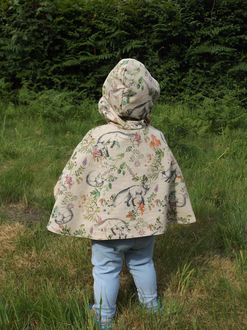 Thumbnail: Humming bird Cape
