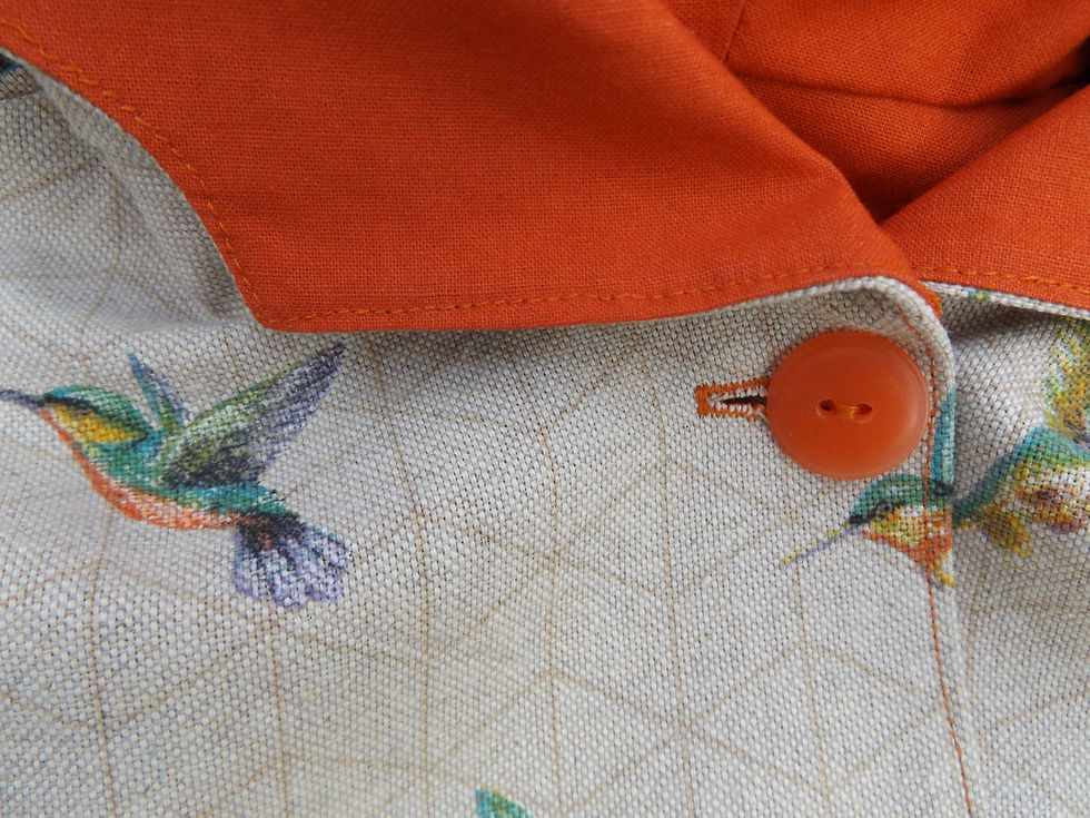 Thumbnail: Humming bird Cape