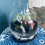 Thumbnail: Medium Terrarium