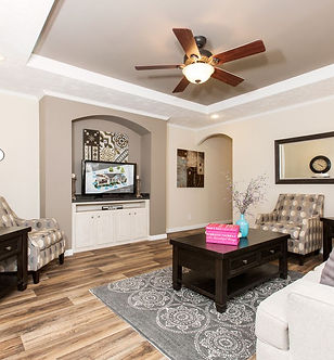 Manufactured-103-ELITE-PLUS-7616-57ELP16763AH-Living-Room-20161212-1608438776324.jpg