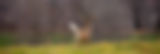 Depositphotos_620821492_XL.jpg