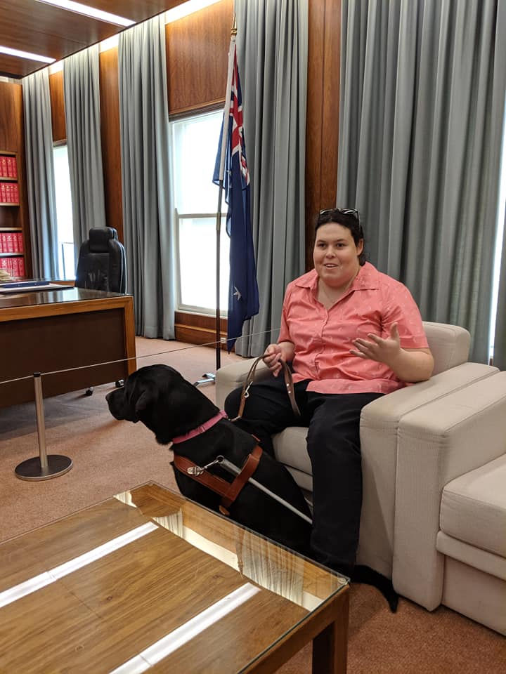 file photo: HM the High Queen sitting in a chair with her guide dog