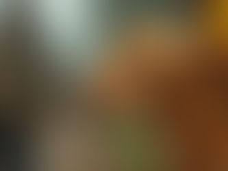 Descubra as melhores opções para dicas de acessórios pet