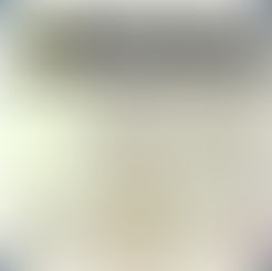 PirateGirl0001 ScreenMate Crack  Free