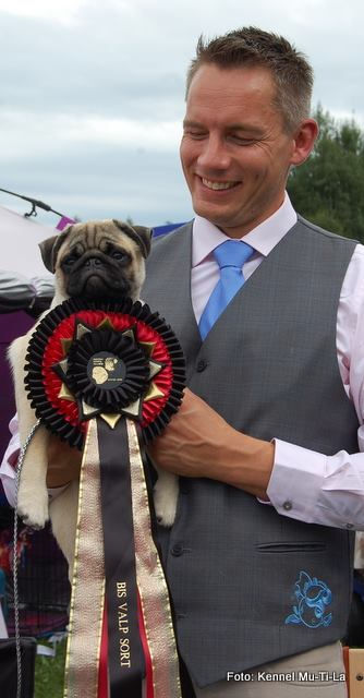 10460458_10152475969636072_2500320563941