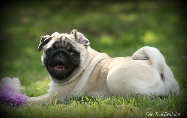 10366040_10152374832446072_9605133075615