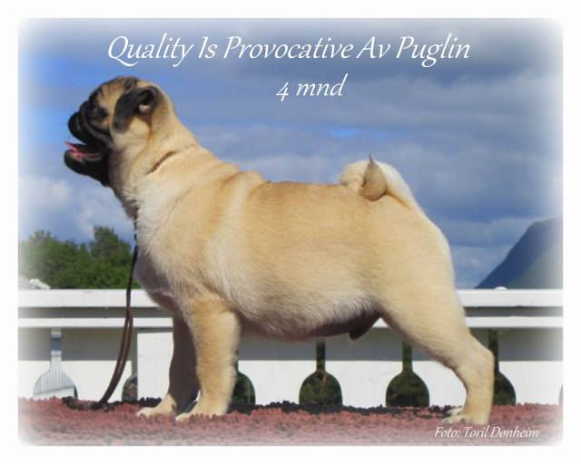 10464074_10152415784216072_3727688426964