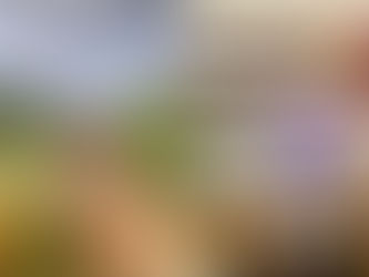 Reed’s Farm Program Spotlight: This Season’s Internships