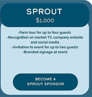 Image (56)_r1_c2_processed_by_imagy.png