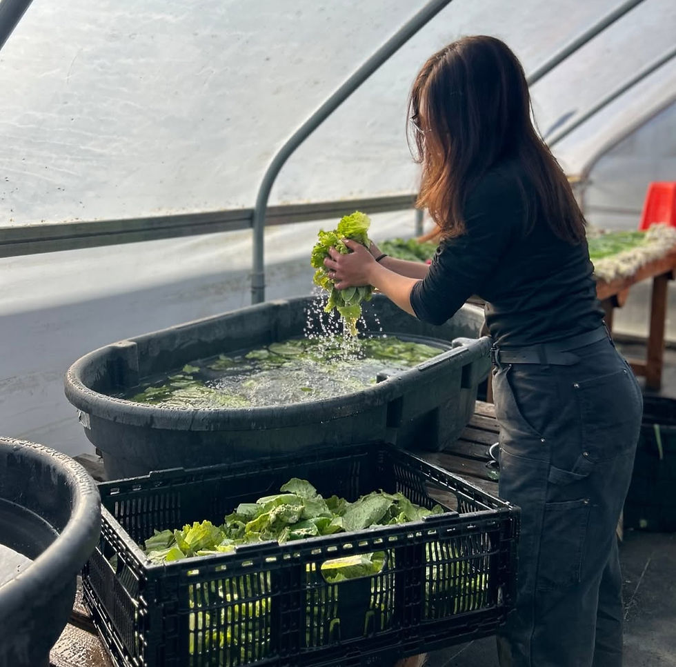 June, Through a Farmer's Eyes