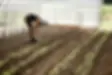 cookie-till-jersey-shore-farm-FT-BLOG1020-5737d9e51d8b4b05ad719afb8c8baf3c.webp