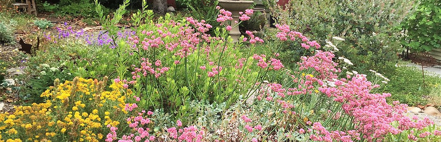 Regenerative Gardening at Home