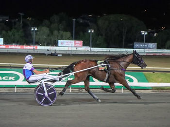 Southern Bred Southern Reared Winning Highlights Australasia 2026