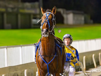 Southern Bred Southern Reared Winning Highlights Australasia 2025