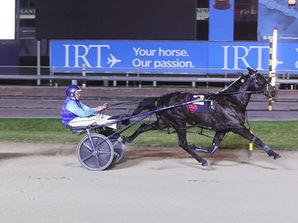 SBSR MOSSDALE FRANK starts his career on the perfect winning note!