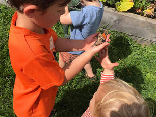Pinehaven Playcentre