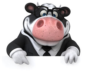 cartoon cow in suit adobe.jpeg