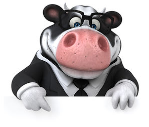 cartoon cow in suit adobe.jpeg