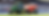 Trilo header.PNG